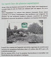 15 - Les bassins aux nympheas (1).jpg